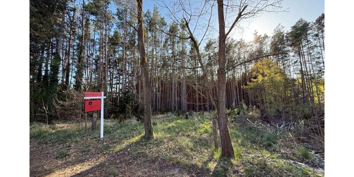 PROVISIONSFREI! Ruhig gelegenes Baugrundstück am Waldrand – fußläufig zum Bahnhofnahe Wolziger - Grundstück Kummersdorf Kummersdorf | Angebot:26648250