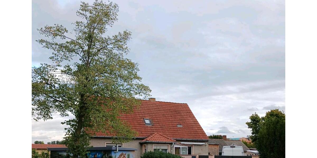 Einfamilienhaus Herzberg (Elster) - 8 Zimmer, 90 m&sup2;, 122.350&euro; | Angebot:27463873
