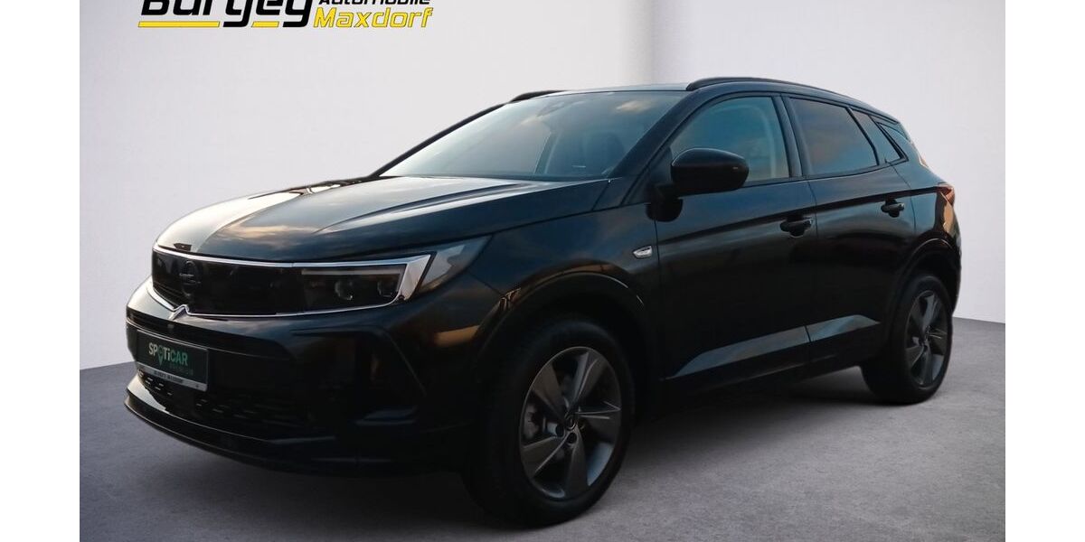 Opel Grandland (X) 9.000 km 22.980 &euro; Maxdorf 67133