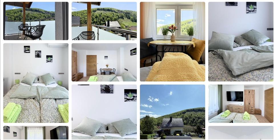Einfamilienhaus Herzberg am Harz - 1 Zimmer, 100 m&sup2;, 1.550&euro; | Angebot:26296317