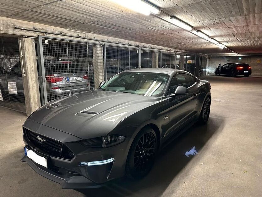 Mustang