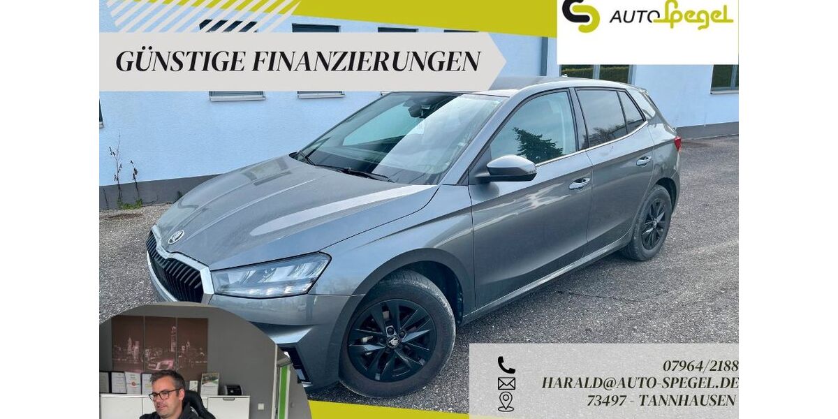 Skoda Fabia 16.756 km 16.390 &euro; Tannhausen 73497