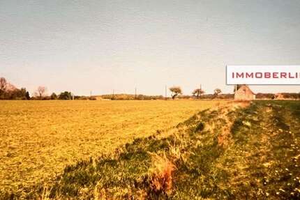 Grundstück Marlow - 25.000&euro; | Angebot:26340034