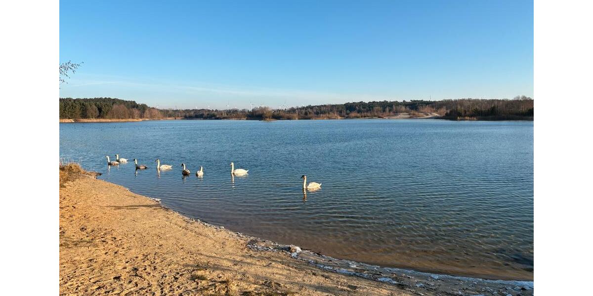 Bungalow Arneburg - 32.999&euro; | Angebot:26007138