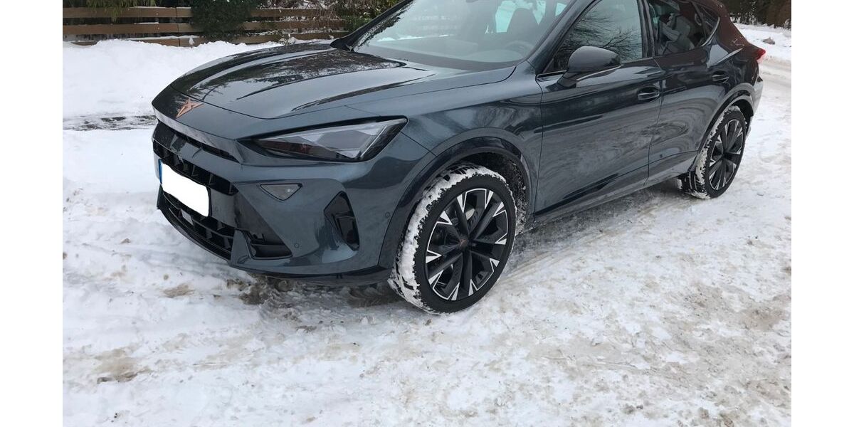 Cupra Formentor 1.100 km 30.900 &euro; Seevetal 21217