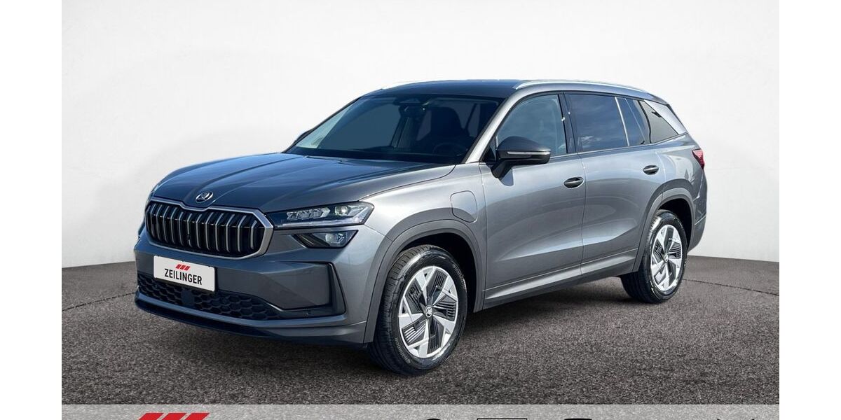 Skoda Kodiaq 1.010 km 44.945 &euro; Dietersheim 91463