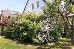 Einfamilienhaus Schwerin Friedrichsthal - 4 Zimmer, 104 m&sup2;, 335.000&euro; | Angebot:27298059