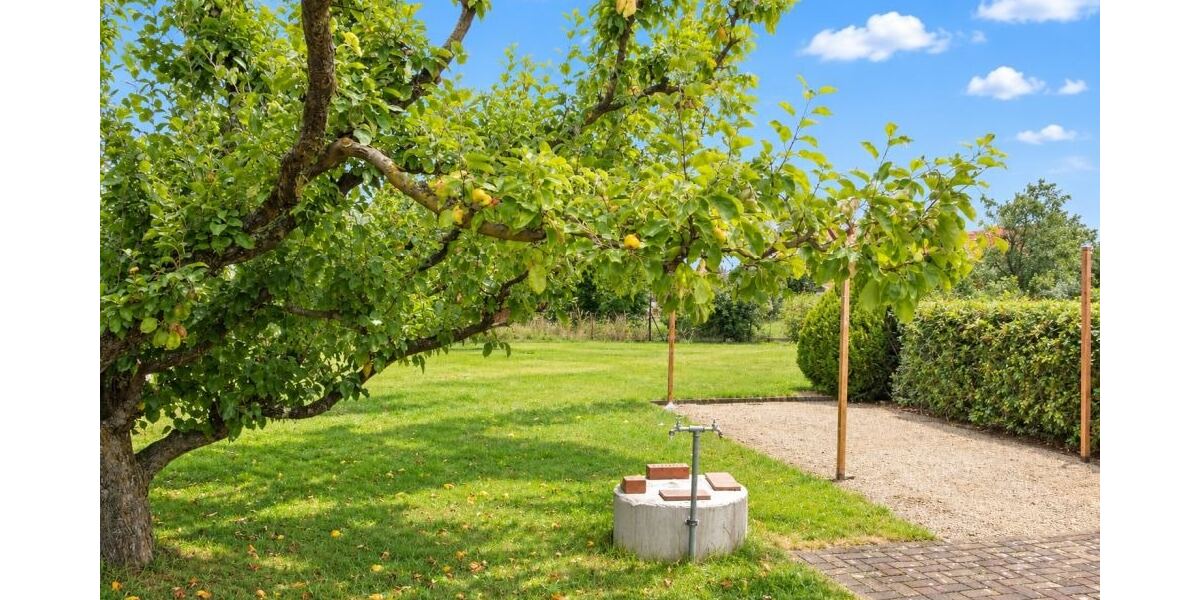 Modernisierte Doppelhaushälfte im Herzen von Lauta - Doppelhaushälfte Lauta | Angebot:27395444