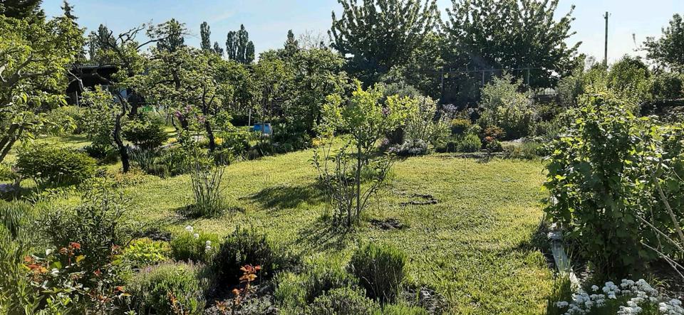 Grundstück Leipzig Südwest - 1.500&euro; | Angebot:26698278