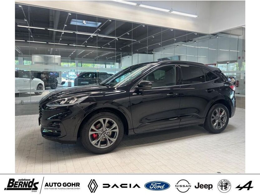 Kuga