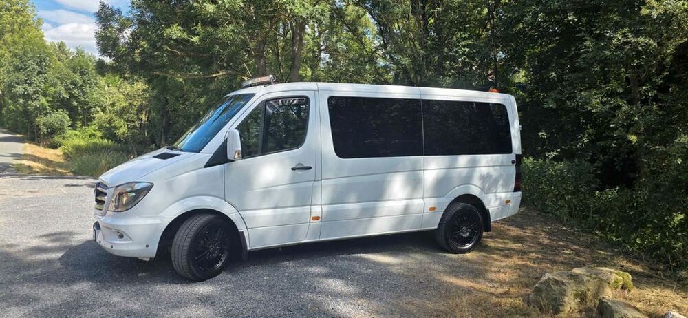 Sprinter