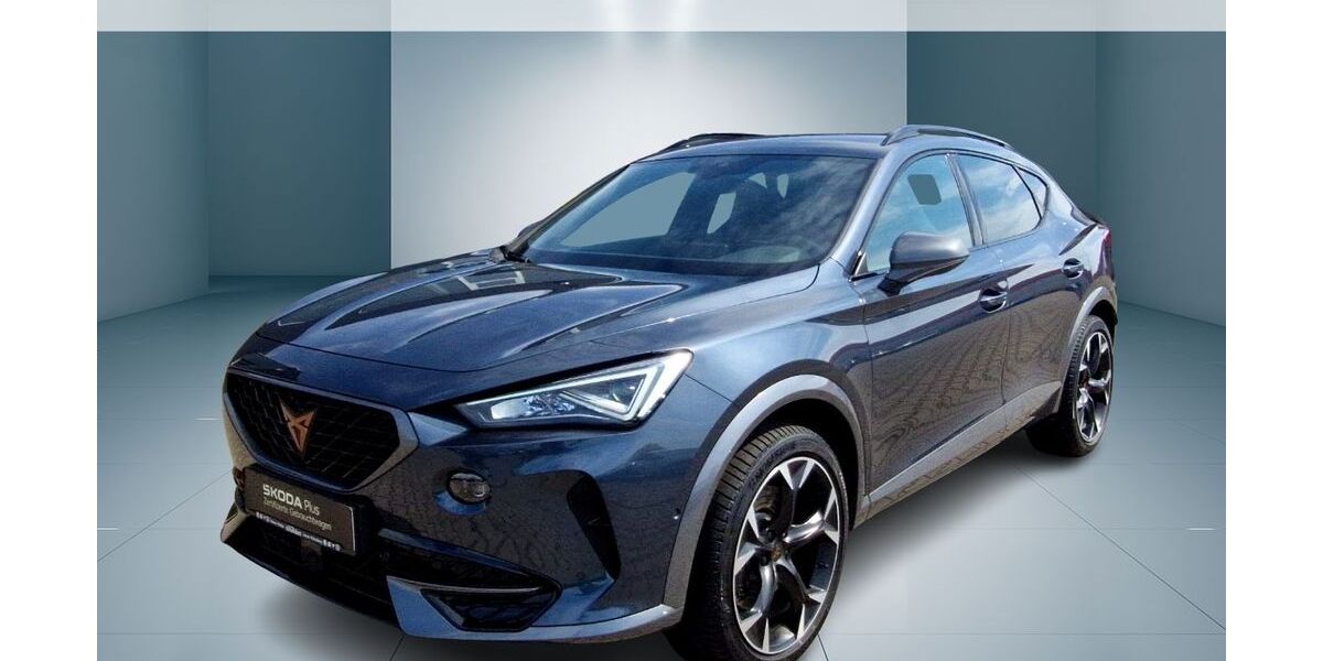 Cupra Formentor 37.910 km 34.850 &euro; Dessau 06847