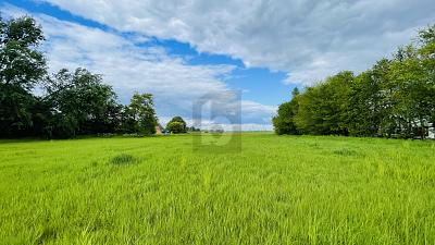 LEBEN IN DER NATUR AN DER NORDSEEKÜSTE - Grundstück Wesselburenerkoog | Angebot:25278697