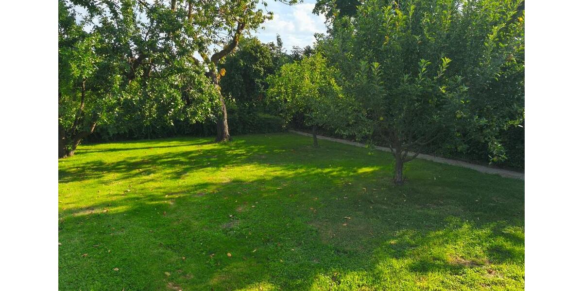 Einfamilienhaus Bergen an der Dumme - 8 Zimmer, 160 m&sup2;, 210.000&euro; | Angebot:27095743