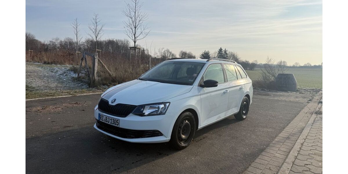Skoda Fabia 77.788 km 9.400 &euro; Einhaus 23911