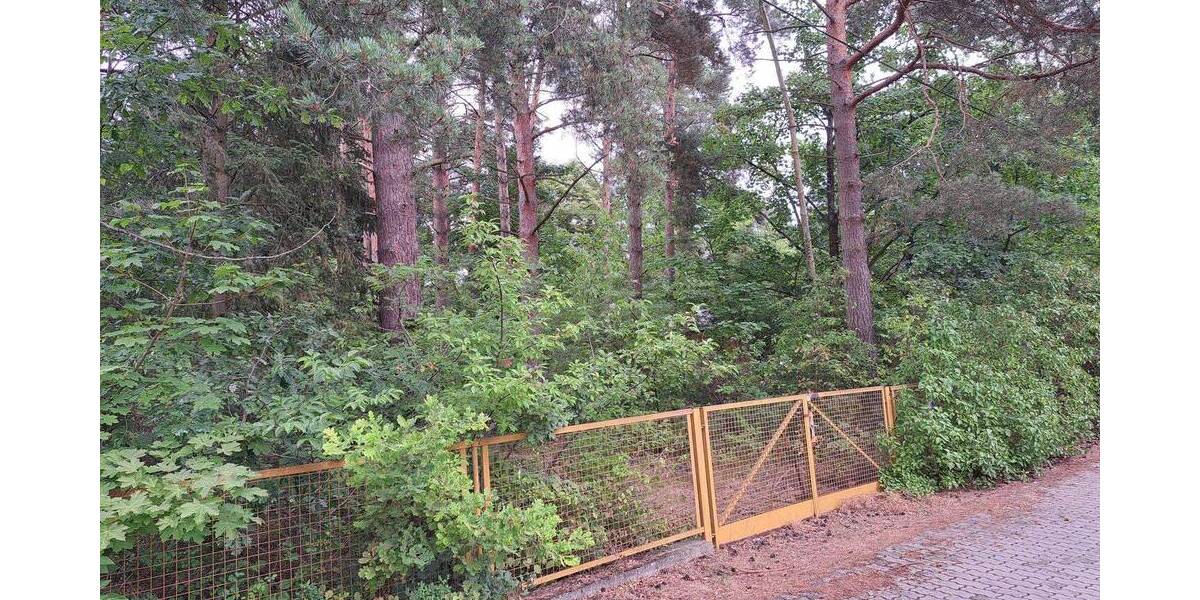 Grundstück Bestensee - 249.000&euro; | Angebot:25663134