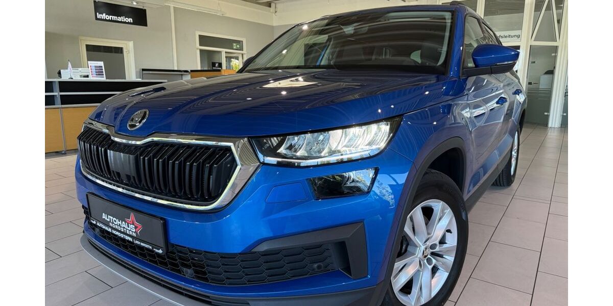 Skoda Kodiaq 47.800 km 32.490 &euro; Braunschweig 38114