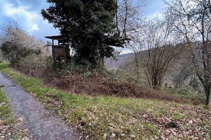 Grundstück Winnenden - 2.500&euro; | Angebot:26425207