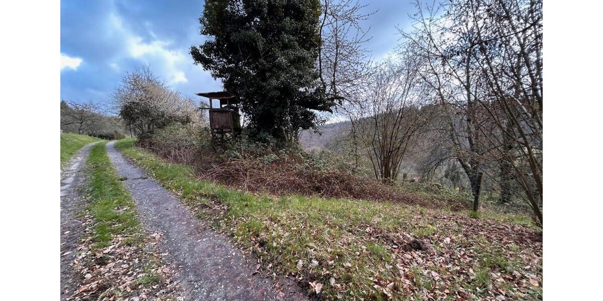 Grundstück Winnenden - 2.500&euro; | Angebot:26425207