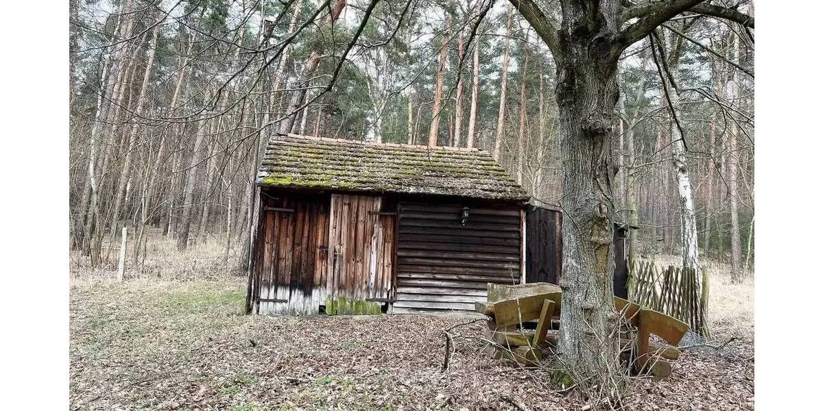 Mehrfamilienhaus, Wohnhaus Bad Belzig Werbig - 1 Zimmer, 228 m&sup2;, 360.000&euro; | Angebot:25699250