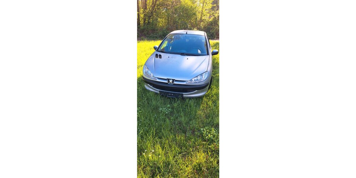 Peugeot 206 159.207 km 1.150 &euro; Magdeburg 39128