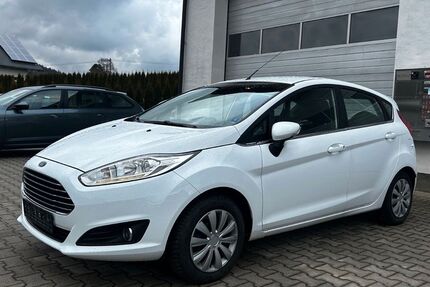 Ford Fiesta 121.000 km 4.400 &euro; Sonnen 94164