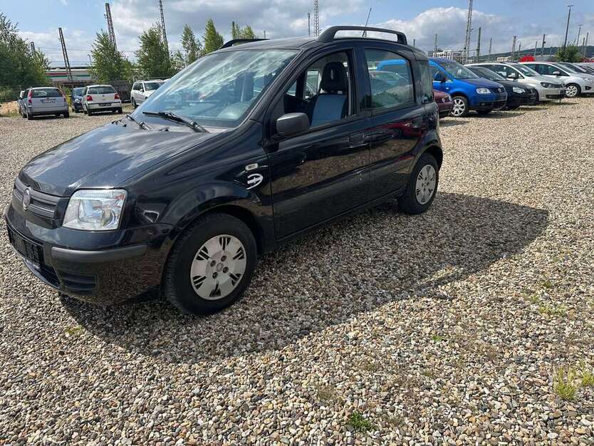 Panda