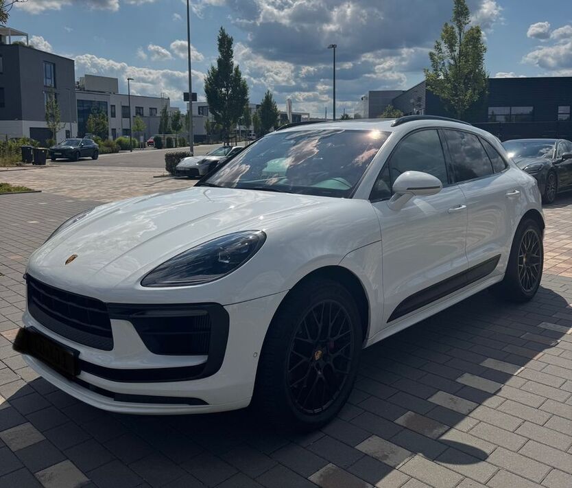 Macan