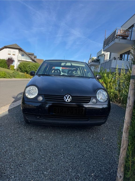Lupo