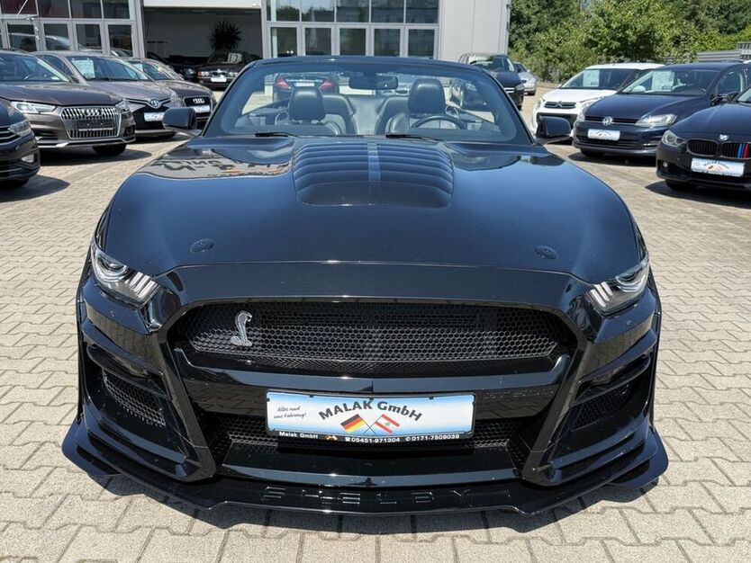 Mustang
