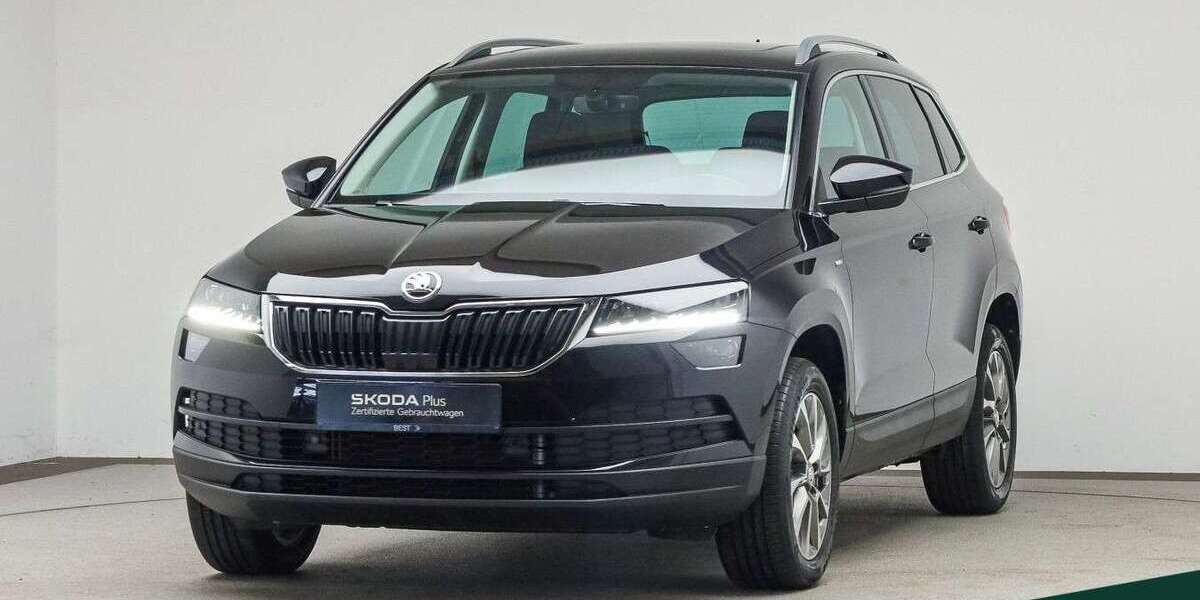 Skoda Karoq 66.600 km 24.888 &euro; Mühlheim a. Main 63165