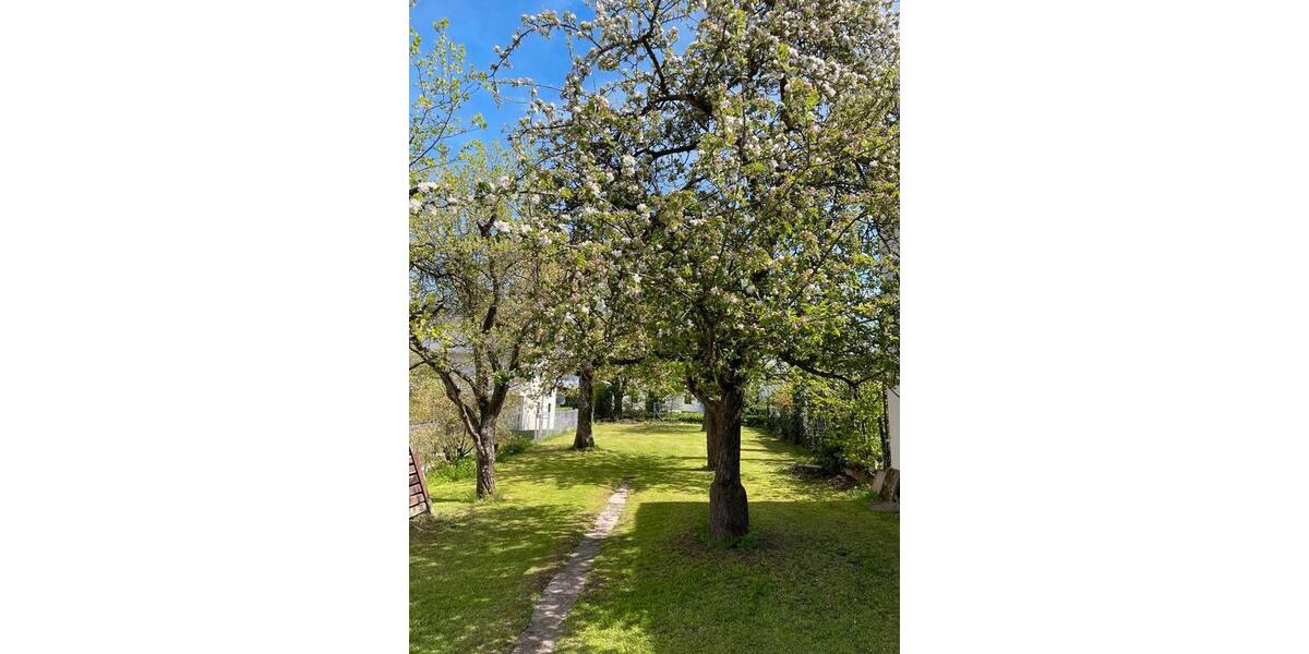 Reihenhaus Petersberg - 4.5 Zimmer, 110 m&sup2;, 970&euro; | Angebot:26683755