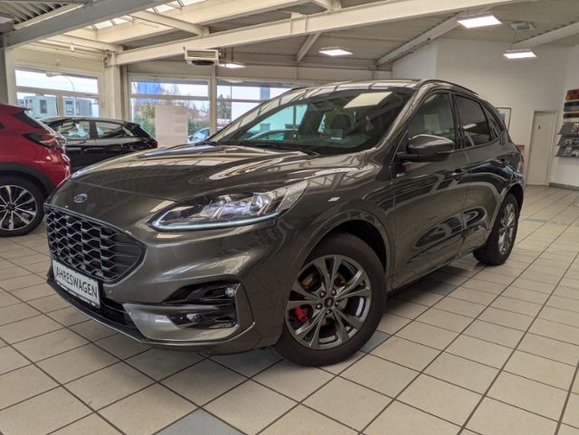 Kuga