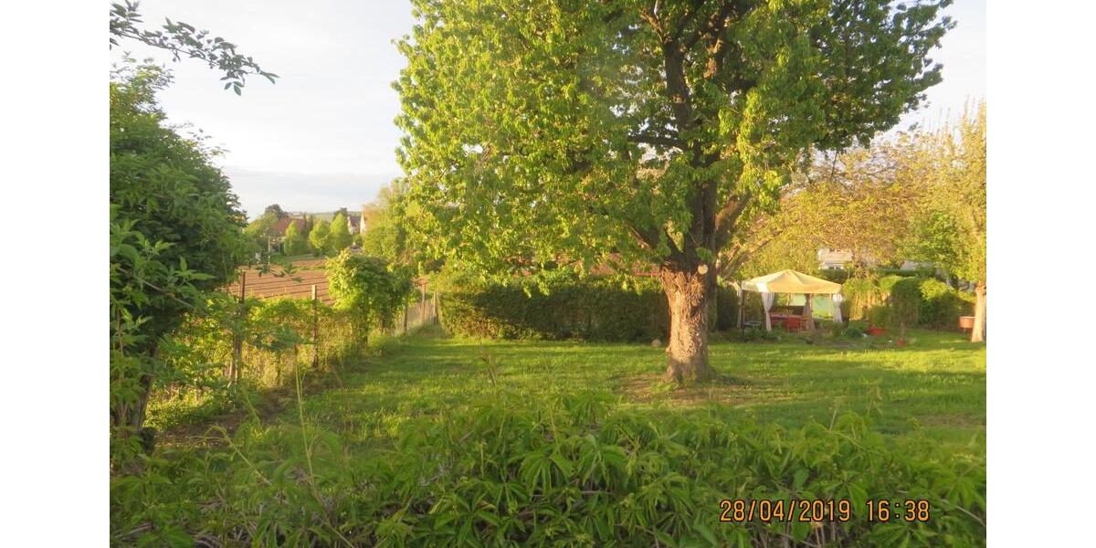 Einfamilienhaus Heilbronn Kernstadt - 2 Zimmer, 20 m&sup2;, 3.100&euro; | Angebot:25932091