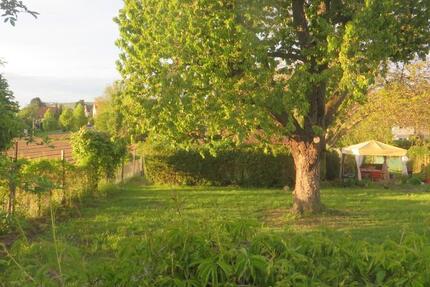 Haus Heilbronn Kernstadt - 2 Zimmer, 20 m&sup2;, 3.100&euro; | Angebot:25932091