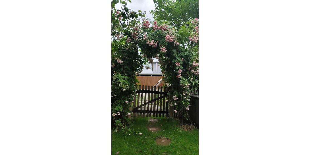 Terrassenwohnung Freiburg im Breisgau Haslach - 4 Zimmer, 113 m&sup2;, 815.000&euro; | Angebot:26253261