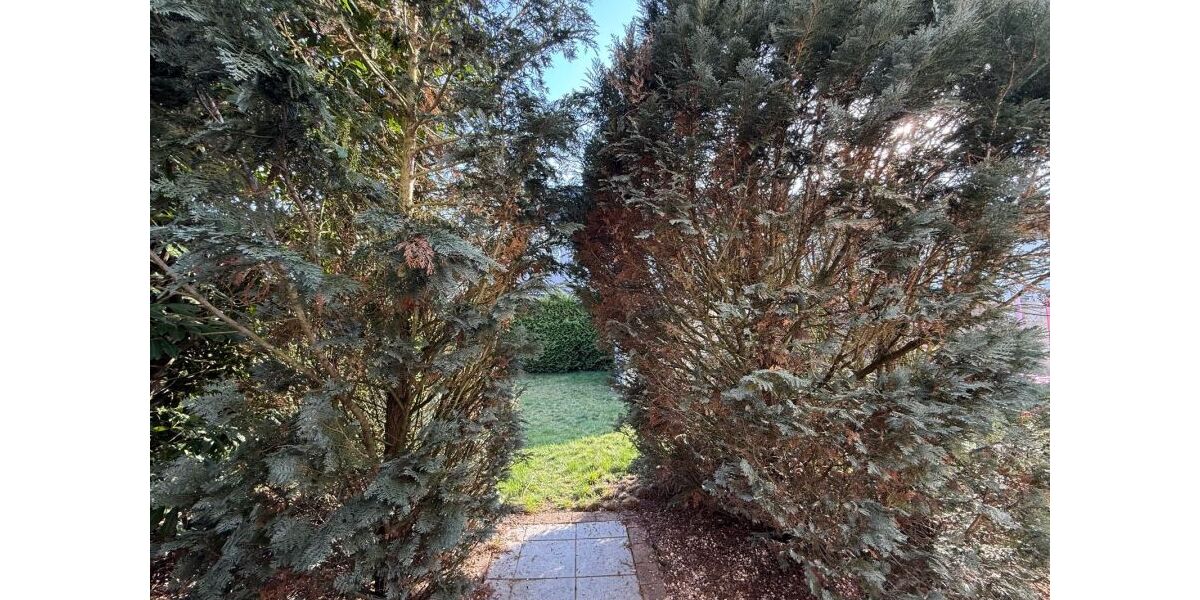 REH Einfamilienhaus mit Terasse, Garten, Gartenhaus in TOP-Lage: ruhig, sonnig, grün - Einfamilienhaus Dietzenbach | Angebot:25908497