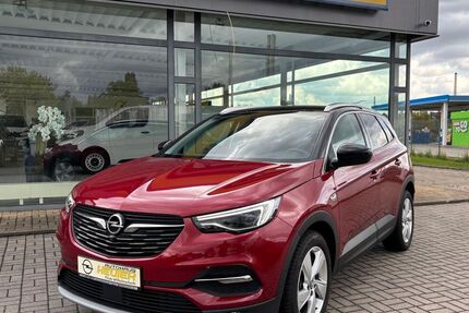 Opel Grandland (X) 97.865 km 14.990 € Borna 04552