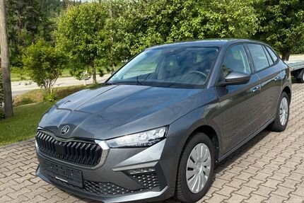 Skoda Scala 30.000 km 17.990 &euro; Schwarzach 94374