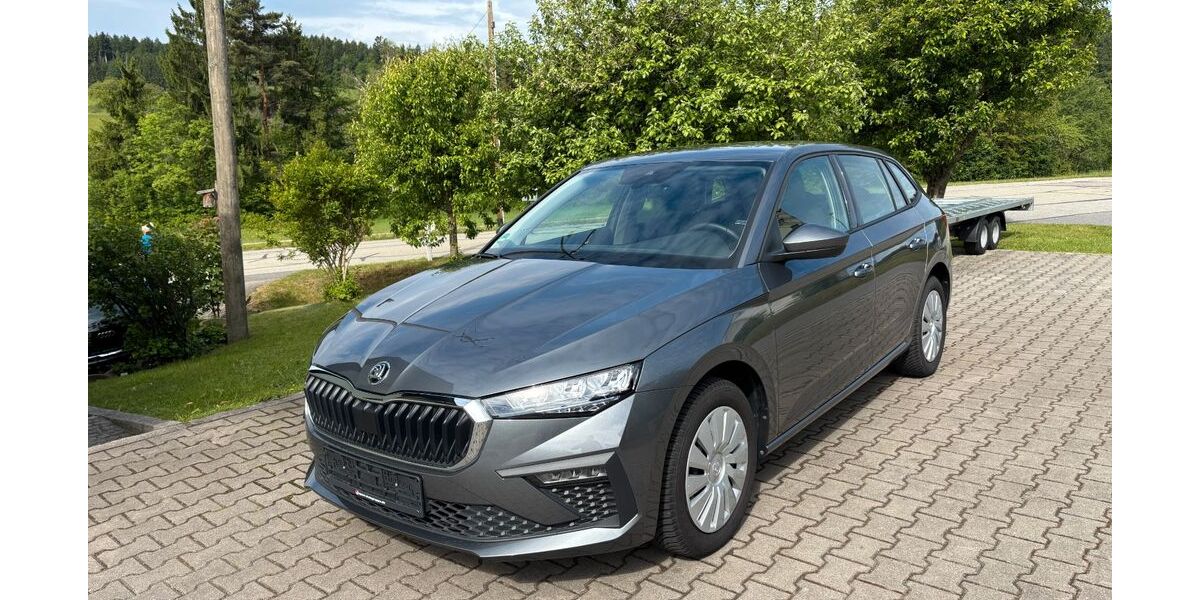 Skoda Scala 30.000 km 17.990 &euro; Schwarzach 94374
