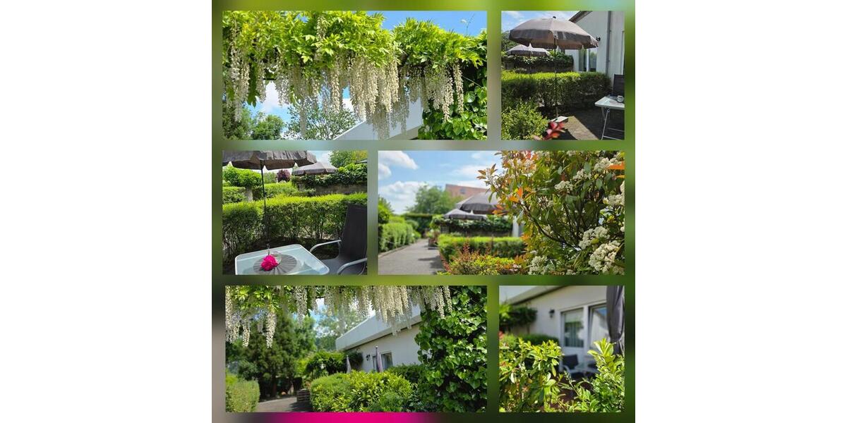 Ferienimmobilie Dresden Blasewitz - 75&euro; | Angebot:25893675