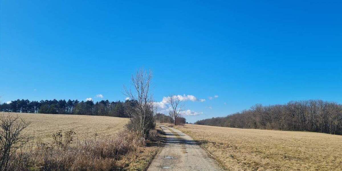 Grundstück Ziegenhain Ziegenhain - 6.400&euro; | Angebot:25772033