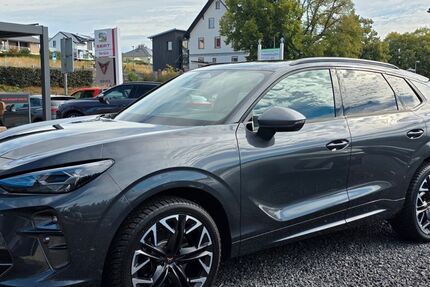 Cupra Terramar 18.100 km 39.970 &euro; Oberreichenbach 75394