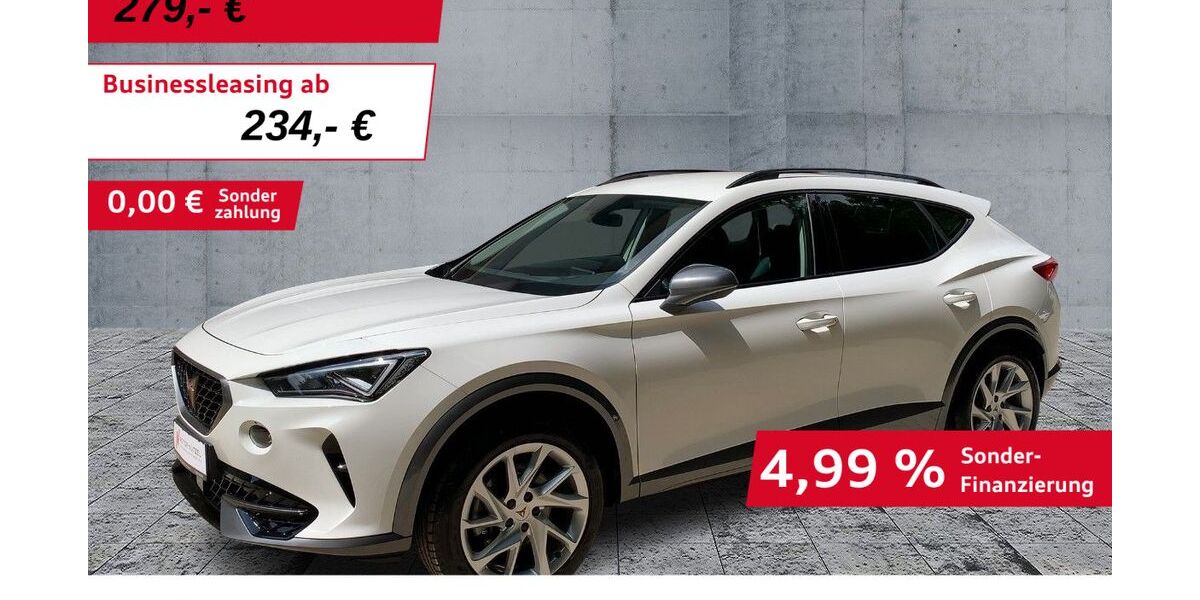 Cupra Formentor 23.854 km 21.450 € Werneck 97440