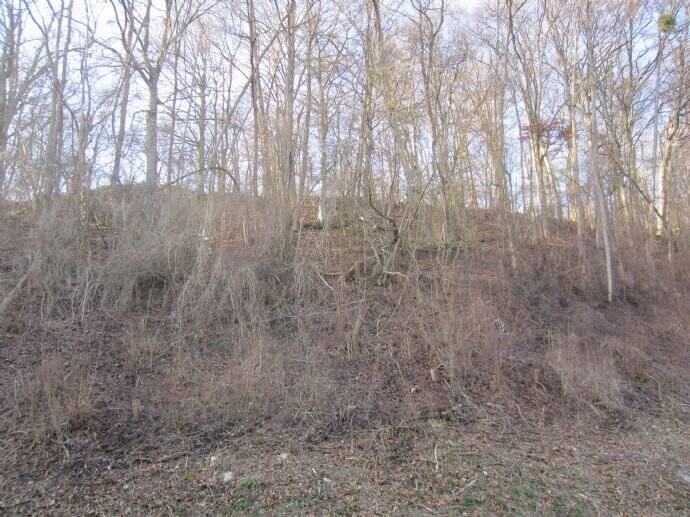 Grundstück Widdern - 25.000&euro; | Angebot:25700084