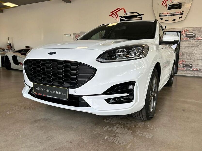 Kuga