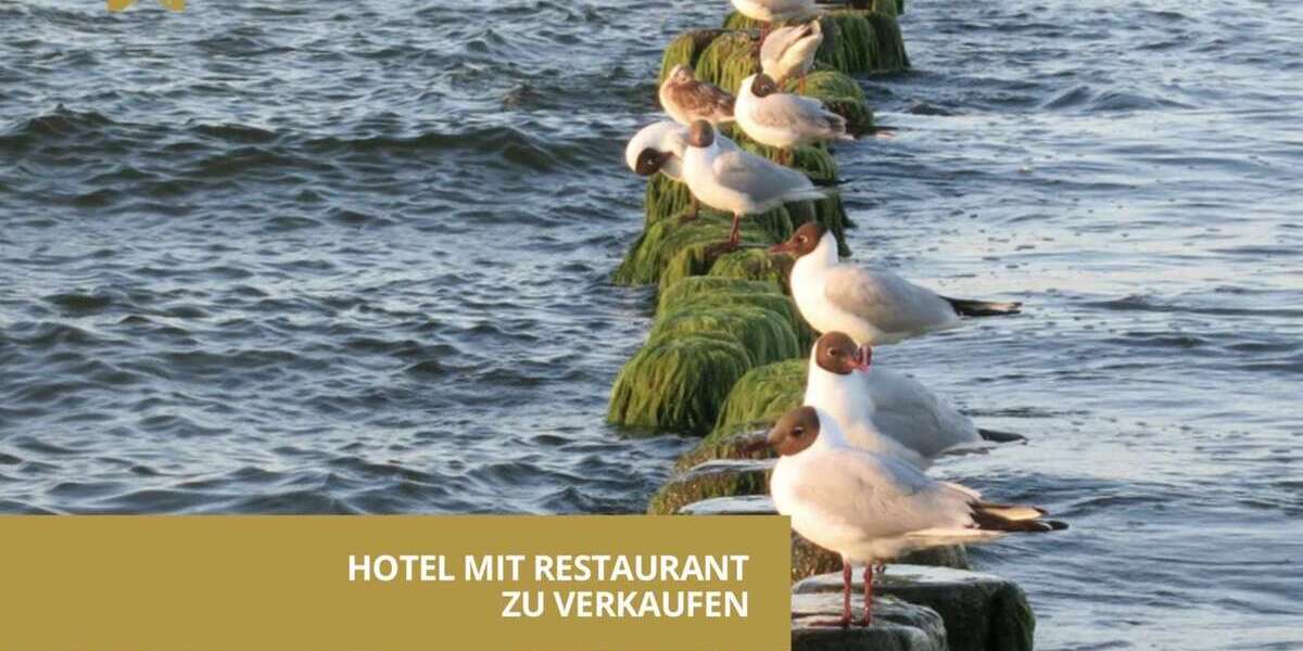 Gewerbeobjekt Alt Kosenow Alt Kosenow - 850.000&euro; | Angebot:27208730