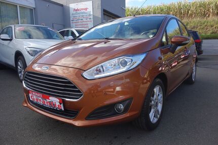 Ford Fiesta 117.000 km 5.490 &euro; Hof 95030