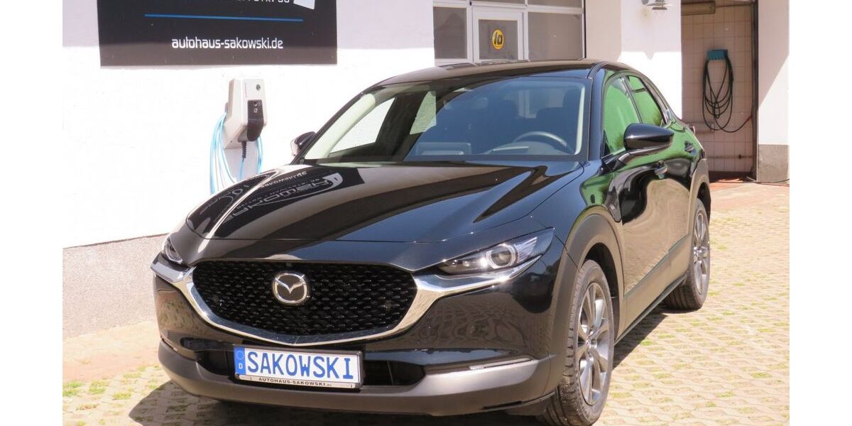 Mazda CX-30 1.232 km 29.990 &euro; Schwielowsee OT Geltow 14548