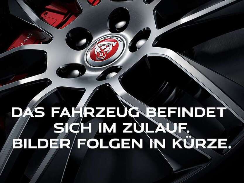 XF